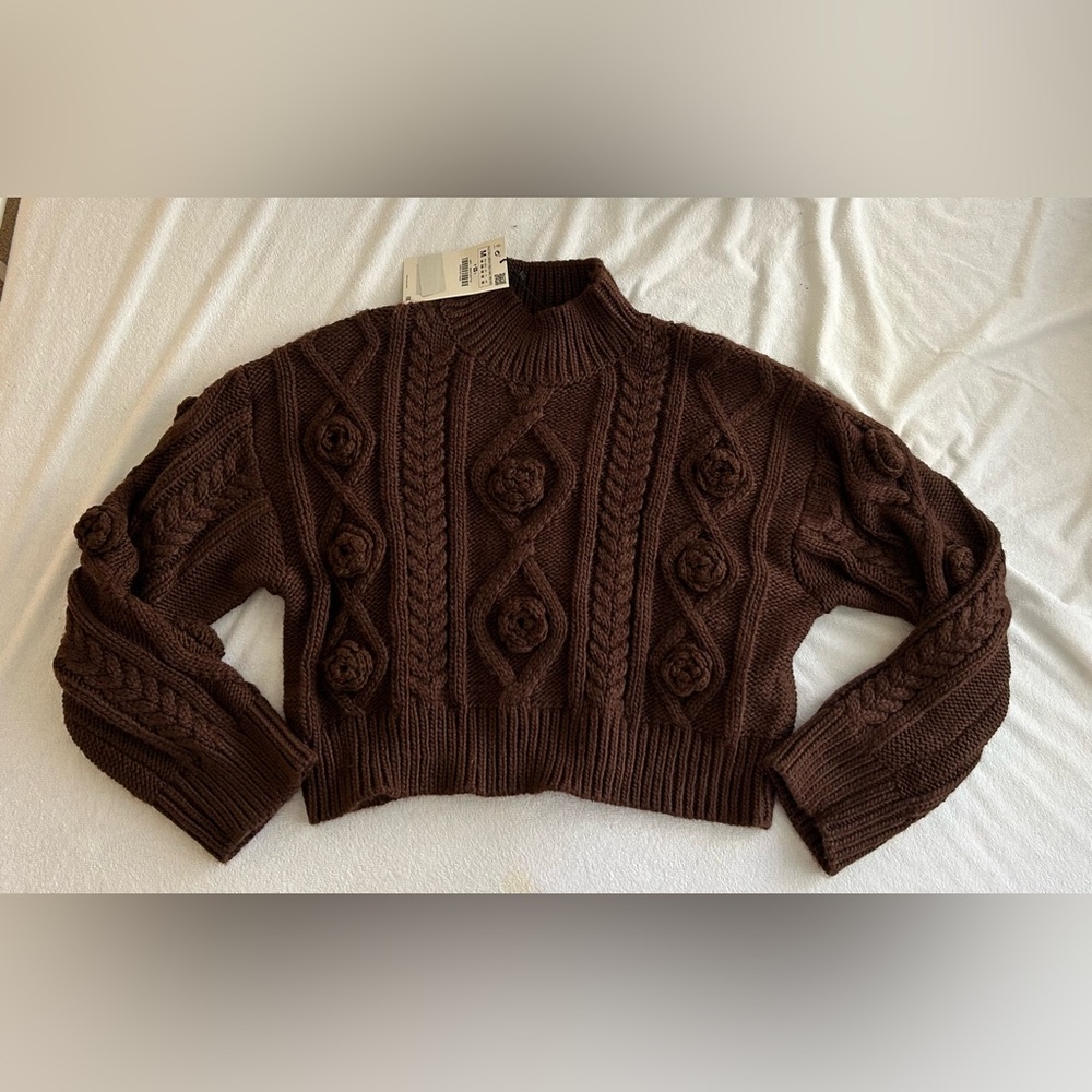 NOT FOR SALE - Zara Brown Cropped Sweater